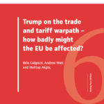 WP-COVER-06.2025-EN-TRUMP-C1