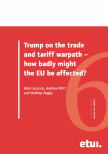 WP-COVER-06.2025-EN-TRUMP-C1
